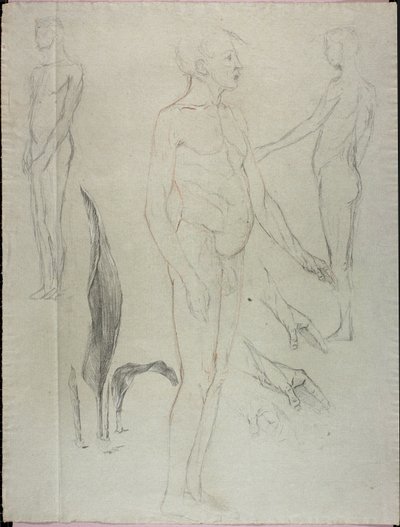 Desnudos y hojas de Solon H. Borglum
