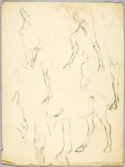 Estudio de retrato, Estudio de caballo de Solon H. Borglum