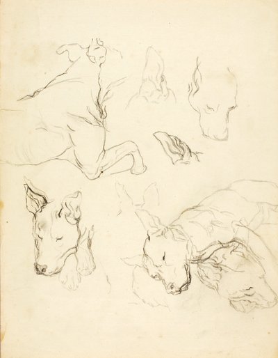 Sleeping Dogs de Solon H. Borglum