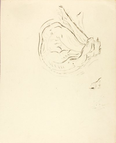 Nadador de Solon H. Borglum