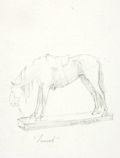Domado de Solon H. Borglum