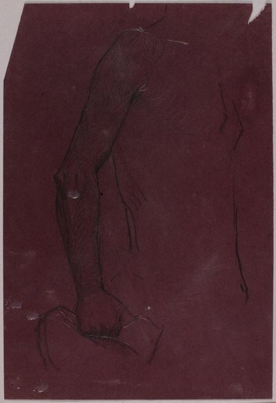 Torso, estudio para monumento ecuestre de Solon H. Borglum