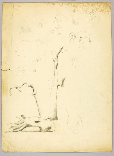 Troncos de árbol y ovejas de Solon H. Borglum