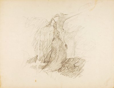 Sin título de Solon H. Borglum