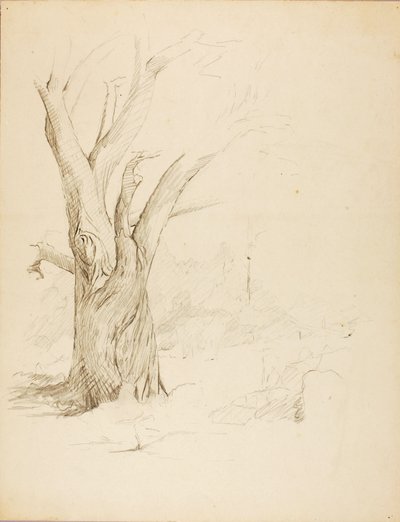 Sin título de Solon H. Borglum