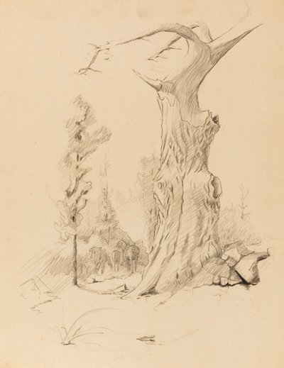 Sin título de Solon H. Borglum