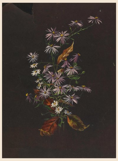 Ramo de otoño, ca. 1890 de Sophia L. Crownfield