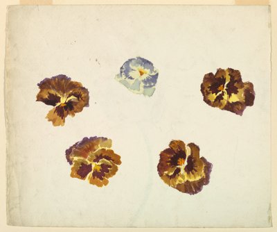 Recto de Sophia L. Crownfield