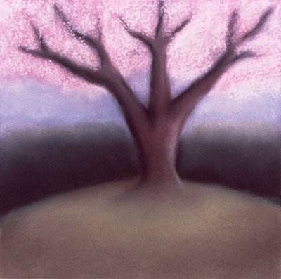 Blossom Tree (pastel sobre papel hecho a mano) de Sophie Hacker