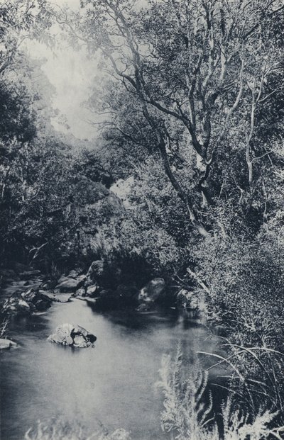 Una escena de hadas, cerca de Witpoortje (foto en blanco y negro) de South African Photographer
