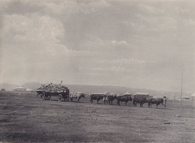 Un Carro de Bueyes (foto en blanco y negro) de South African Photographer