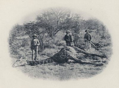 Caza Mayor En El Transvaal de South African Photographer