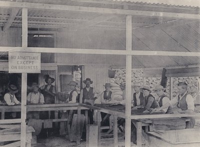Clasificación de Diamantes, Mina Wesselton (foto en blanco y negro) de South African Photographer
