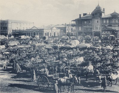 Mercado de la Mañana Temprano (foto en blanco y negro) de South African Photographer