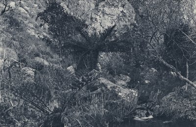 En el Kloof de Witpoortje de South African Photographer