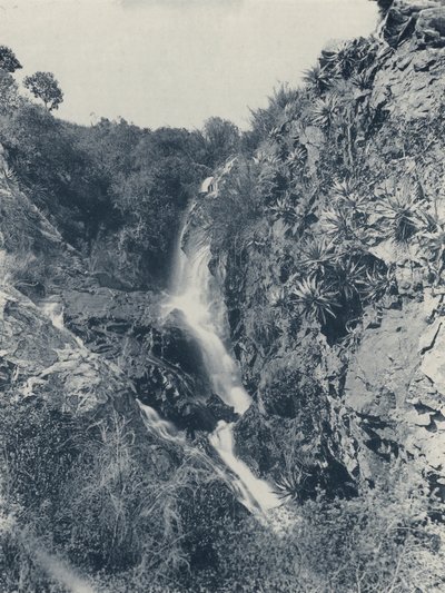 Cascada de Struben de South African Photographer