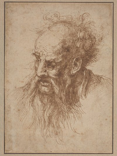 Un anciano con barba larga de Spanish 17th Century