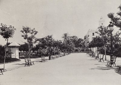 Cádiz: Alameda de Apodaca de Spanish Photographer
