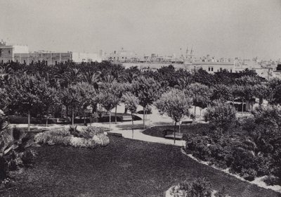 Cádiz: Parque Genovés de Spanish Photographer