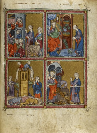 Agregar. 27210, f.12v Escenas de Éxodo: Las plagas de piojos, ranas, murrain y pestilencia, ilustraciones de 