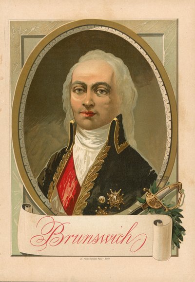 Brunswick de Spanish School