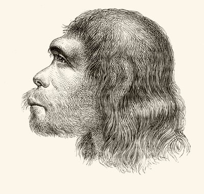 Cabeza de un Hombre de Neandertal, de 