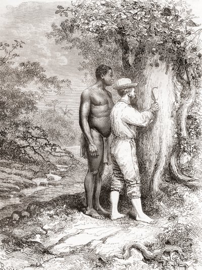 Jules Crevaux, durante su exploración de la Guayana Francesa en 1878, tallando sus iniciales en un árbol en las orillas del río Oyapock o Oiapoque de Spanish School
