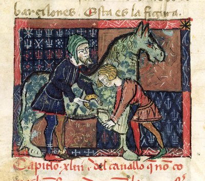 Ms 214 fol.46v Herrando un caballo, del Libro de Menescalcia y Albeyteria por Juan Alvarez, c.1390 de Spanish School