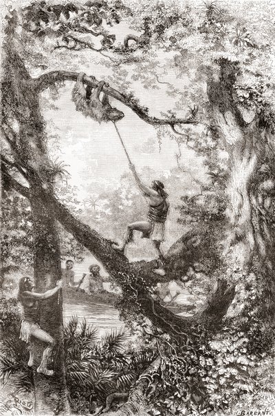 Indios nativos capturando un perezoso en el río Oyapock u Oiapoque, América del Sur de Spanish School
