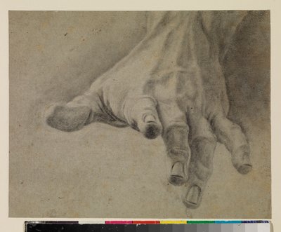Estudio de una mano izquierda, siglo XVIII de Spanish School