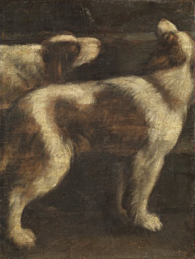 Dos perros de Spanish School