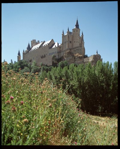 Vista del alcázar de Spanish School