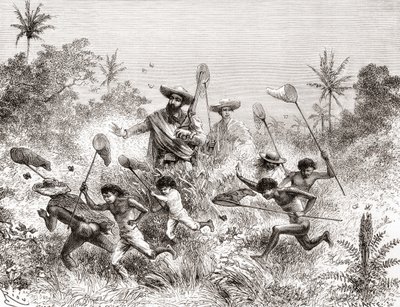 Édouard François André cazando mariposas en Villavicencio, Venezuela durante su expedición botánica en las estribaciones de los Andes en 1875-76 de Spanish School