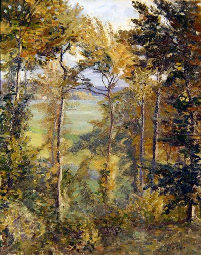 Paisaje Boscoso en Tibermont, Neuville Les Dieppes de Spencer Frederick Gore