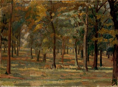 Parque Richmond de Spencer Gore