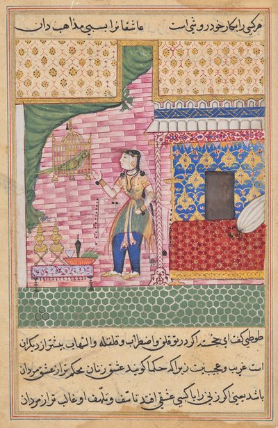 El Loro se dirige a Khujasta al comienzo de la Decimoséptima Noche, de un Tuti-nama (Cuentos de un Loro) de Sravana
