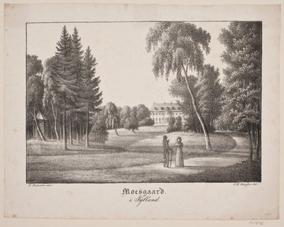 Moesgård en Jutlandia de Søren Henrik Petersen