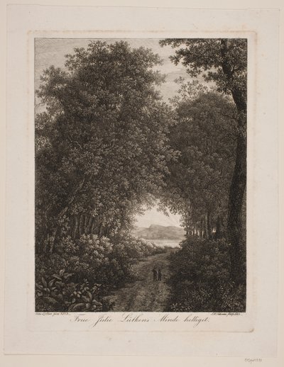 Camino en el bosque de Søren Henrik Petersen