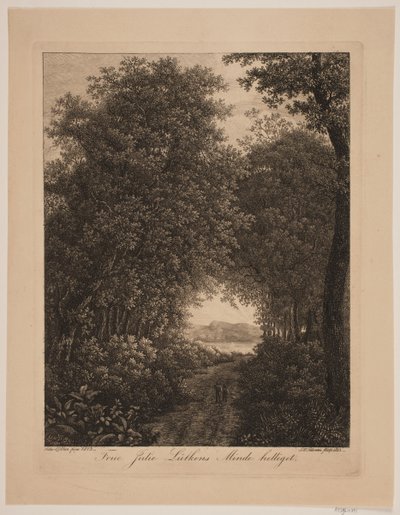 Camino del bosque de Søren Henrik Petersen