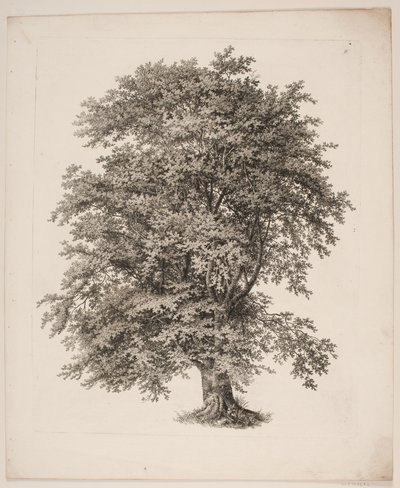 "Estudios de la naturaleza con respecto al dibujo de paisajes de S.H. Petersen", n.º 2 de Søren Henrik Petersen