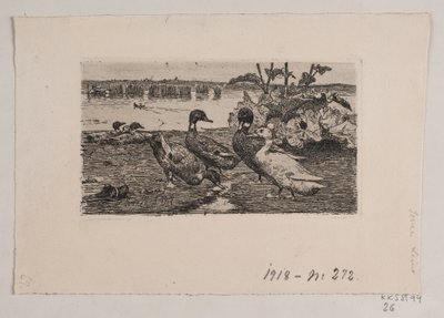 Patos de Søren Lund