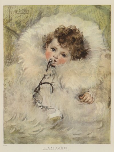Un bebé floreciendo de St. George Hare