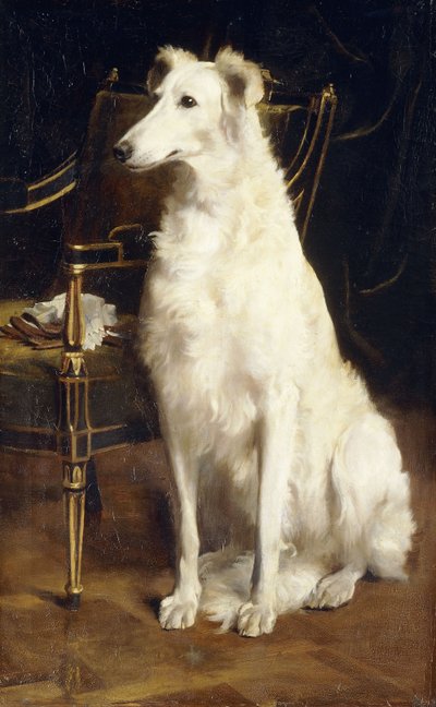 Un borzoi junto a una silla de St. George Hare