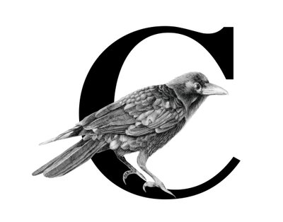 C is for Crow, 2018 (lápiz de grafito y digital) de Stacy Hsu