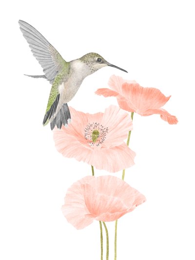 Jardín de colibríes, 2020 (lápiz de grafito y digital) de Stacy Hsu
