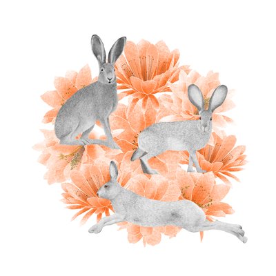Jack Rabbits, 2021 (lápiz de grafito y digital) de Stacy Hsu