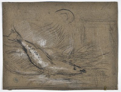 Estudio de peces (dibujo) de Stanislas Torrents y de Amat