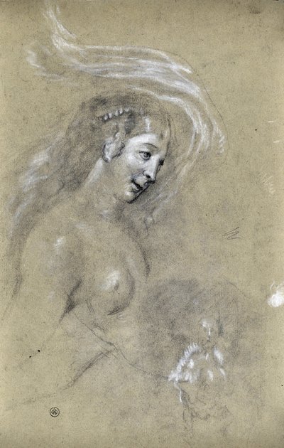 Estudio de perfil de mujer (dibujo) de Stanislas Torrents y de Amat