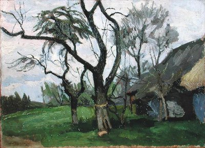 Paisaje de Wola Radziszowska de Stanislaw Kamochi