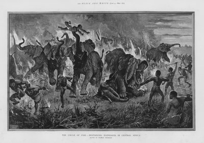 El círculo de fuego - destruyendo elefantes en África Central de Stanley (after) Berkeley